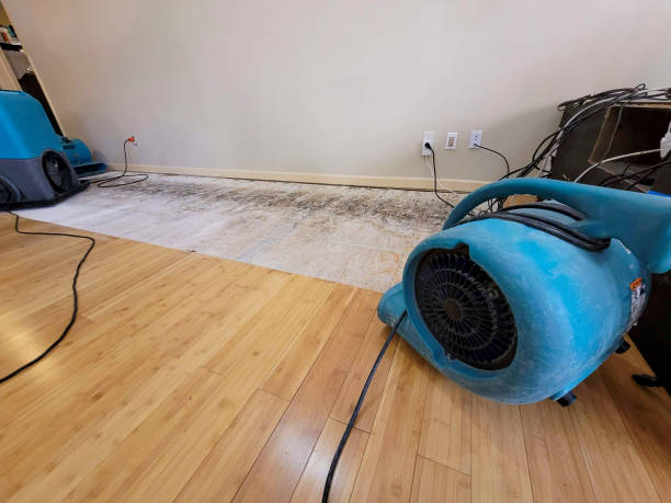 Professional Basement Flood Cleanup technician working in Poteet, TX